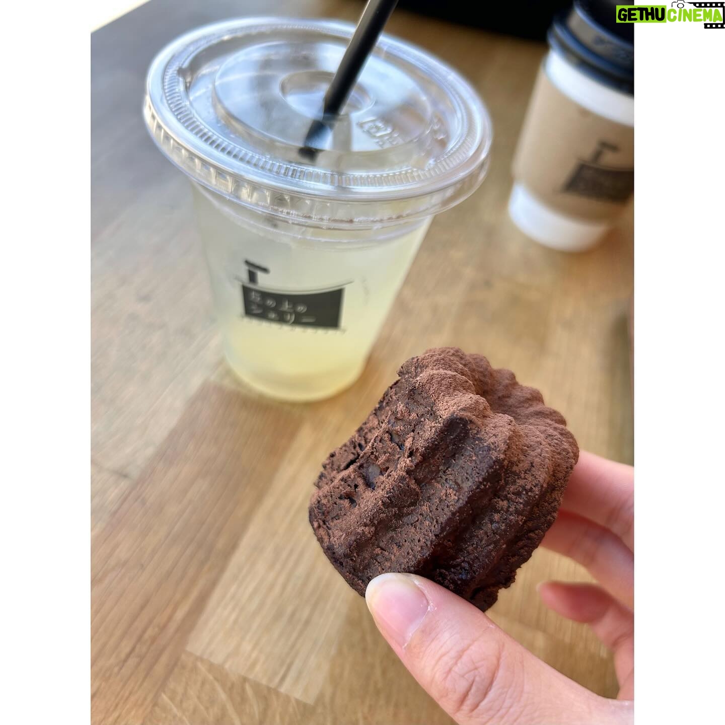 Erina Mano Instagram - インスタの投稿がお知らせ系ばかりだったので 今回は久しぶりに最近のいろいろ🫧 順番に・・・ . . 1枚目 とっても甘くて美味しいトマトに出会っちゃいました!! 福島県産のトロピカルトマト🍅 もともとトマトは大好きなんだけど これは今まで食べてきたトマトで1番好き!!🥹 . . 2枚目 何回作っても飽きることなく「美味しい!」って 言ってもらえる和風パスタ🍝 きっと今シーズンもたくさん作るはず!笑 . . 3枚目 友達とのブランチで食べたパンケーキ🥞 4時間以上も語り合ってた日😂💕 . . 4枚目 ショコラカヌレとレモネードが美味しかったから また買いに行きたいベーカリーカフェ🥐☕️ . . 5枚目 実はちょっと髪を切りました! その数日後にインスタライブをしたら 髪伸びたね!ってコメントがちらほら😂 前髪は伸びたけどね!!笑 #近況報告 #トロピカルトマト #和風パスタ #パンケーキ #カヌレ #レモネード #髪切りました