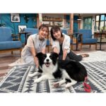 Erina Mano Instagram - 今日はスロイジに生出演で 大阪に行ってきましたー！！ いつもアットホームで楽しくて あっという間の1時間🫧 そして今回は高橋愛さんと一緒でした🤍 普段なかなか会える機会がないので 一緒にテレビ出演できて嬉しかった〜🌻 . . 衣装は一目惚れしてちょっと前に購入した @grace_continental.div のワンピース👗 スロイジはいつも自分で衣装を用意しているので また呼んでもらえたらこれ着たいな〜！！ と思って購入したら本当にまた呼んでもらえちゃった🥹✨ . . ボーダーコリーのテスちゃんとも久しぶりに会えて 今日もとっても楽しい生放送でした🫧 #スロイジ #衣装 #gracecontinental
