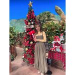 Erina Mano Instagram - 12月18日、夜7時から 日本テレビ「世界丸見え！テレビ特捜部」 全員逮捕だ2時間SPに出演します📺 . . そんなことある？😂って笑ってしまう映像や 見ていて怖くなってしまう事件 イギリス警察の精鋭部隊に密着した映像など とても見応えのある収録でした！！ . . セットがクリスマス仕様で可愛かったです🎄✨ 是非！見てください😉 . . 衣装 スカート・ニット・ビスチェ @lily_brown_official ピアス　@joueteofficial リング　@ete_official ブーツ　@dianashoespress #世界丸見え #収録 #衣装 #見てね