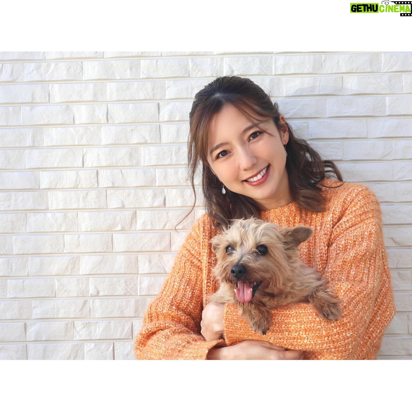 Erina Mano Instagram - 久しぶりに兄わんこ(8歳)との2ショット🐶🍊 . . オレンジページnetでの連載 「ふたりごはん日記」今月はおうちご飯編です🏠 年末に出会ってすっかりお気に入りになった 馬路村農協の「ぽん酢しょうゆ ゆず村」と 「ぱっと馬路村 柚子入り七味唐辛子」を使った食事のことを書いてます🍚 きっと知ってる方も多いかな?? この2つに出会ってからご飯作りがより楽しくなりました🤭 連載記事のリンクはストーリーハイライトの 「オレンジページ」にまとめてあります🍊 . . 気が付いたらこの連載が始まって1年!! みんなに聞いて欲しい我が家の食卓の話や 紹介したい美味しいレストランがまだまだあるので この先も続くように頑張ります!! 連載を読んでくれている皆さんには本当に感謝です😌🤍 #連載 #馬路村 #馬路村農協 #調味料 #犬のいる暮らし #愛犬