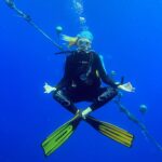 Estelle Lefébure Instagram – The Underwater world is peacefull 

#sousleau 
#exploration 
#protection 
#association 
#speromare 
@serial_divers 
@isabellebadias 
@speromare 
@cressi1946 
#dive