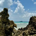 Estelle Lefébure Instagram - Surnommée l’Île Verte , l’Île de Pemba est un lieu unique .J’y ai notamment eu la chance de rencontrer ces femmes formidables qui cultivent les algues et d’y découvrir un marché regorgeant de fruits et d’épices comme cette noix de muscade encore dans son fruit . #ponant #expeditioncruise #PONANTExplorations #instantponant #collab