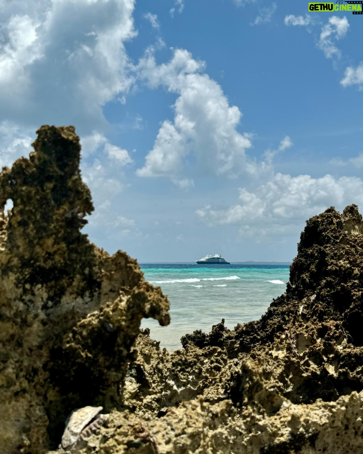 Estelle Lefébure Instagram - Surnommée l’Île Verte , l’Île de Pemba est un lieu unique .J’y ai notamment eu la chance de rencontrer ces femmes formidables qui cultivent les algues et d’y découvrir un marché regorgeant de fruits et d’épices comme cette noix de muscade encore dans son fruit . #ponant #expeditioncruise #PONANTExplorations #instantponant #collab