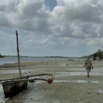 Estelle Lefébure Instagram - Surnommée l’Île Verte , l’Île de Pemba est un lieu unique .J’y ai notamment eu la chance de rencontrer ces femmes formidables qui cultivent les algues et d’y découvrir un marché regorgeant de fruits et d’épices comme cette noix de muscade encore dans son fruit . #ponant #expeditioncruise #PONANTExplorations #instantponant #collab