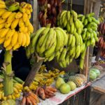 Estelle Lefébure Instagram - Surnommée l’Île Verte , l’Île de Pemba est un lieu unique .J’y ai notamment eu la chance de rencontrer ces femmes formidables qui cultivent les algues et d’y découvrir un marché regorgeant de fruits et d’épices comme cette noix de muscade encore dans son fruit . #ponant #expeditioncruise #PONANTExplorations #instantponant #collab