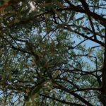 Estelle Lefébure Instagram – Provence merveilleuse ..
#positivevibes