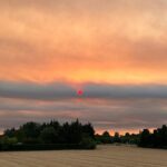 Estelle Lefébure Instagram – Jolie photo sans filtre mais triste .Hier , un feu s’est déclaré non loin d’ici ,à 20 mn (qu’est ce que c’est 20 mn de route , c’est rien ) .
Voir le ciel se couvrir d’une fumée épaisse , qui cache petit à petit le soleil couchant , sentir cette odeur de brûlé en rentrant à la maison dans la nuit , et voir l’inquiétude de ce copain pompier qui prendra la relève ce matin pour lutter contre les flammes et essayer de préserver au mieux cette terre , c’est la réalité d’un été chaud , très chaud et de personnes inconscientes .
Alors s’il vous plaît , fumeurs, campeurs , faites attention ..

Pensées et courage aux @sapeurs_pompiers_de_france @spdefrance 

#provence 
#naturelovers