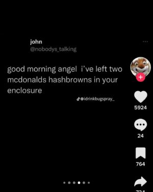 Esther Povitsky Instagram - good morning angel