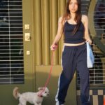 Esther Povitsky Instagram - u can see this dog milf live: nyc 7/19-7/23 (added a show) madison 9/14-9/16 DC 9/28 boston 9/30 detroit 10/19 chicago 10/20-10/22 tickets in bio 🩰
