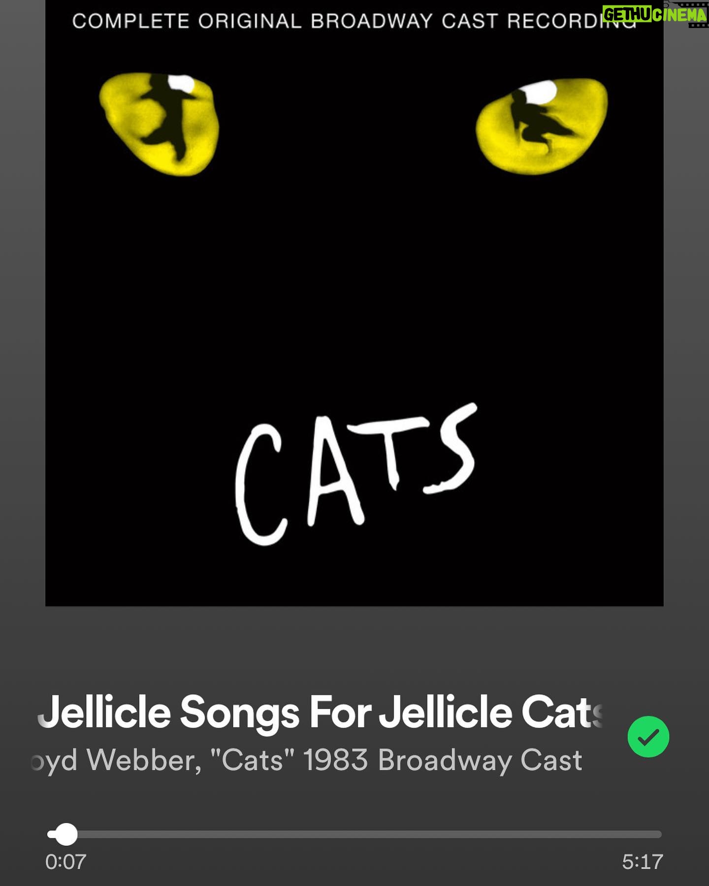 Esther Povitsky - 19.2K Likes - love urself like ur a jellicle cat?