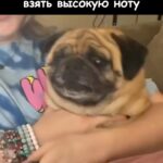 Eteri Beriashvili