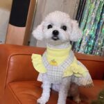 Eun Ji Instagram - 쌀밥이랑 함께한 8주년 축하하기! 호호💝 (라렌아.... 넘 부담스럽네?🤭🥰)