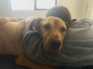 Eva Ariel Binder Instagram - My heart was broken as I said goodbye to my sweet baby Fawn. I will love her forever  and miss her every second of every day. 💔💔