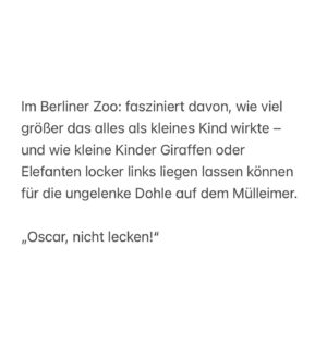 Eva Schulz Instagram - November Dump
