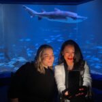 Eva Amurri Martino Instagram - Tomorrow Never Dies 😎🦈🍸🖤 Celebrated my 39th trip around the sun with the most fun little party! I didn’t know that a four course dinner party, eaten in front of a shark tank, was on my 2024 Bingo card. But man do I feel lucky that it was!! 😍 I love you @maritimeaquarium, you are perfect for every occasion and every age person. And thank you to everyone who helped me celebrate my birthday this past week. I’m so very grateful! #thisis39 #birthdaygirl #jamesbond #bondstyle #jamesbond007 #maritimeaquarium 🎂3️⃣9️⃣🎉