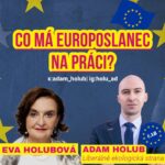 Eva Holubová Instagram - A co si myslíte vy o tom, co má Eurposlanec na práci? 🇪🇺🇨🇿 Napište mi do komentáře nebo DM:)