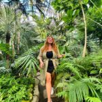 Eva Kramerová Instagram – 🌴 pokoj svätý 🌴
#nájdimonsterku#botanická#lúbim#potrebujemsklenník#palmičky#botanical