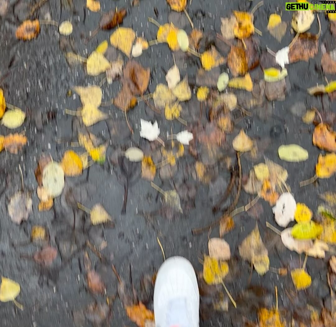 Eva Kramerová Instagram - Ja milujem ten pocit keď sa prekonám ! ✨🌧️💞 Akože ja citim potom takú vnútornú power že až ! Otužovanie, odpísať účtovníčke, Dohodnúť sa s kuriérom 😀 to sú všetky moje boje ktoré som dnes vyhrala 😭 pusinky spravte tento týždeň aspoň jednu vec do ktorej sa vám fakt že nechce … a potom bude magic ✨ Bozky … váše ginger ľadové medvieďa 🐻❄️