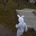 Eva Röse Instagram – Glad påsk alla mina ljuvliga,engagerade,kloka,frågvisa,kritiska och peppande följare. Tack för att ni hänger med här. Så fint att ni finns! Vad gör ni i helgen , oavsett om ni firar högtiden eller inte. Jag och småpojkarna knackade just på hos en äldre granne som bor ensam. Hon fick tulpaner och ett påskägg. Vi fick hårda kramar och ett mycket stort leende.
Håll i varandra. Det blir för svårt annars. Hepp!
🐣💛💛💛