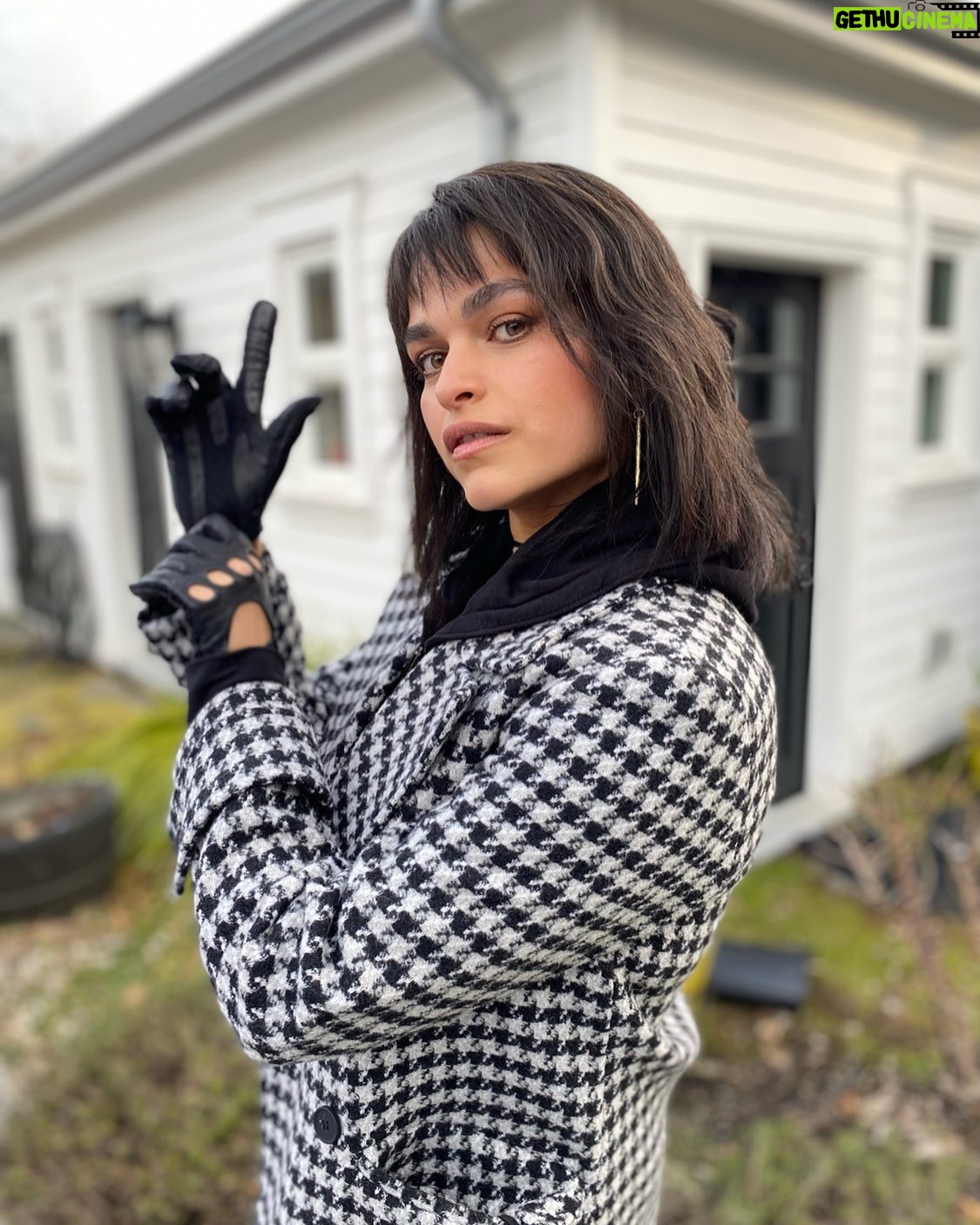 Eve Harlow - 3 Likes - one.last.Ellen.pic.
📸: @phoenixraei