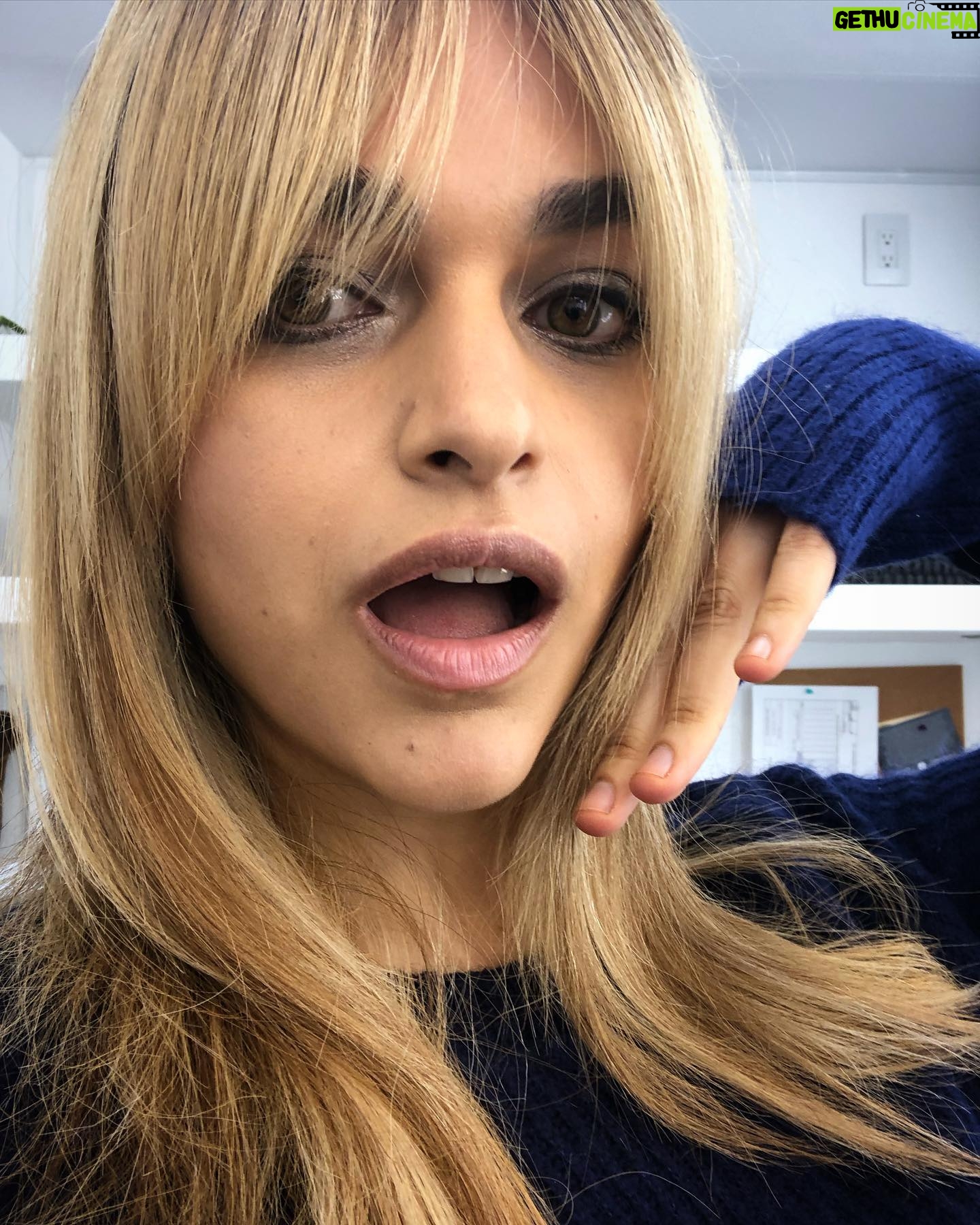 Eve Harlow - 3 Likes - without wigs there’d be no ellen, and without @carolinedehner there’d be no wigs.
me: “i think ellen should have wigs to go with her disguises”
caroline: *pulls out a treasure chest full of wigs, making all my wildest dreams come true*
some of these we used, others we didn’t, but CAROLINE I ❤️ U