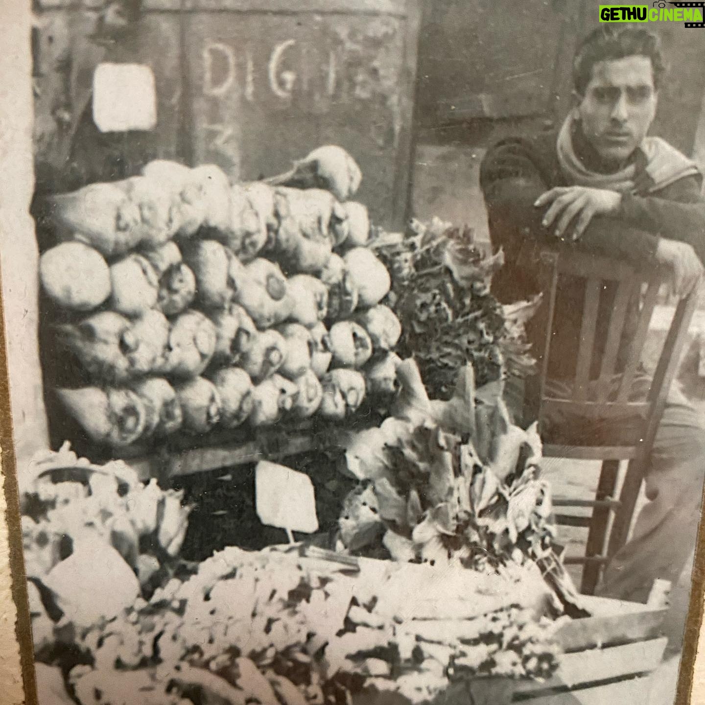 Eve Mauro - 1.1K Likes - Happy Birthday to the Original OG, my pops, Antonio Di Mauro. He was a pioneer in the nightclub industry and paved the way for many of us today. He didn’t tell his children how to live. He lived, and let us watch him do it. I love you papa. You’re my hero! #WhoTheFuckDoYouThinkYouAre #ClintEastwoodWithThatGunCockSucker #MemoriesAreMadeOfThis #NotDeadYet #DimauroNeverDies