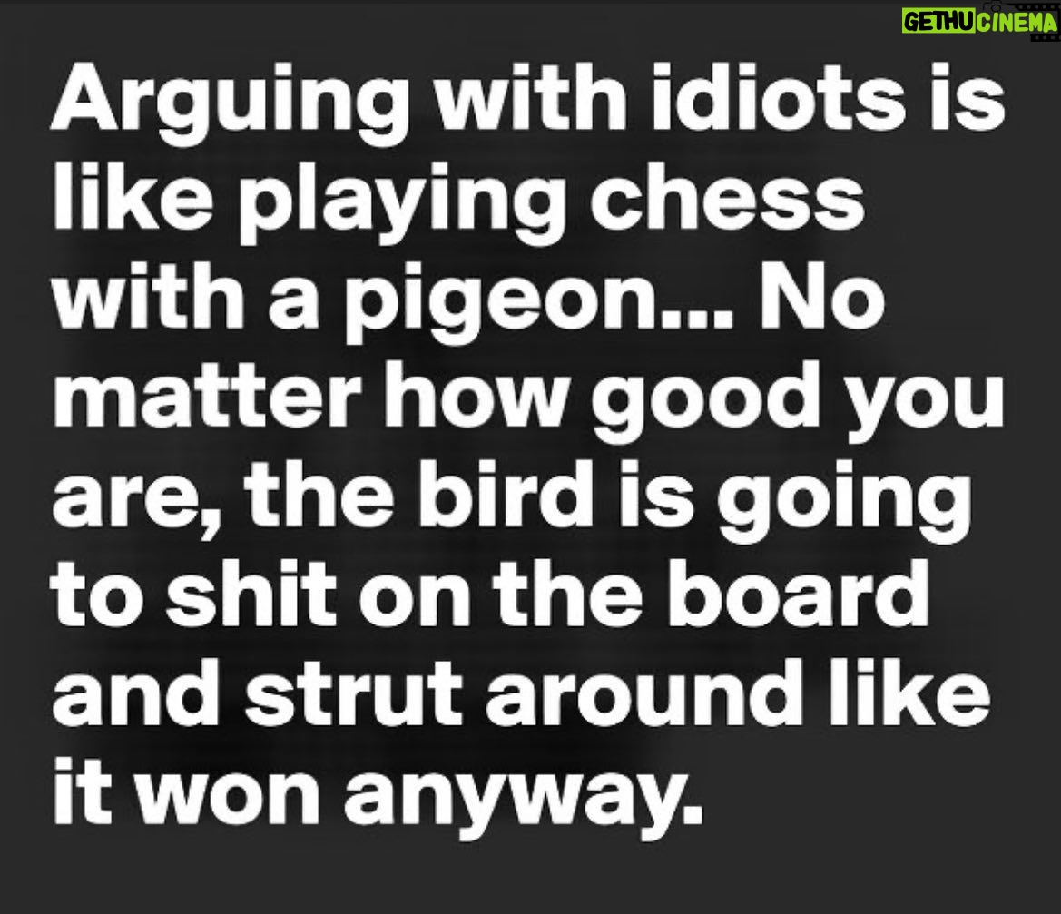 Eve Mauro - 1.3K Likes - Common sense is not a gift, it’s a punishment. Because you have to deal with everyone who doesn’t have it. #HadToBringThisOneBack #IdiotsRUs #NotDeadYet
