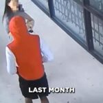 Eve Torres Instagram – How to Defend Against a Rear Bear Hug

🔥 One Week Left to Register for our Free Seminar 🔥 
Join us for a 2.5-hour FREE women’s self-defense seminar on Sunday, January 14th in Torrance, CA, and at Certified Training Centers all over the world.

This is THE BEST way to introduce women to self-defense and jiu-jitsu in a way that is fun, safe, and anyone can learn.

The seminar is free but you MUST pre-register to save your spot at https://www.GracieGirls.com – link in bio. 

-No experience necessary
-Wear comfortable workout attire 
-Ages 13 and up (under 18 needs parent companion)