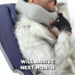 Eve Torres Instagram – The King of Travel Pillows just got better! 

-New SouthWest Strap (for any seat without a headrest!) 
-New Pillow Design (smaller/thinner for enhanced comfort and easier packing) 
-New Hook Design (for added security) 
& a whole lot more! 

The first batch of Sleeper Hold 2.0s lands next month, but we’ve been sold out for over 4 months the so they’re expected to go quickly. 

Pre-order now to secure your @sleeperholdpillow and save 25% until June 16. 

SleeperHold.com
