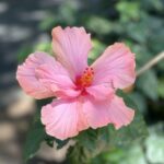 Fátima Molina Instagram - 🌸