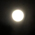 Fairuza Balk Instagram - Happy Ice Full Moon all !;)