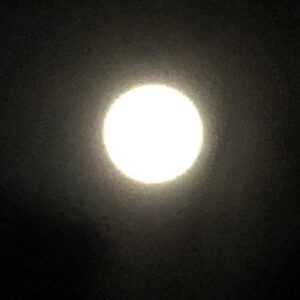 Fairuza Balk Instagram - Happy Ice Full Moon all !;)