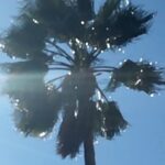 Fairuza Balk Instagram - Diamond light reflected sun in wind and beauty in my line of sight. A marvel in a moment distracted me, took my breath away.