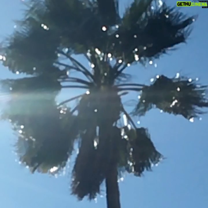 Fairuza Balk Instagram - Diamond light reflected sun in wind and beauty in my line of sight. A marvel in a moment distracted me, took my breath away.