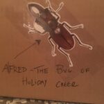Fairuza Balk Instagram – Xmas bug decorations for the last few bundles . Why shouldn’t giant freaky beetles celebrate the Yuletide season!?
