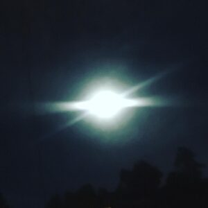 Fairuza Balk Instagram - Happy Full Moon !!! I went for a wee walk  tonight. The air is thick with the scent of night blooming flowers. .... and the night is full on the beauty that comes out as we sleep.