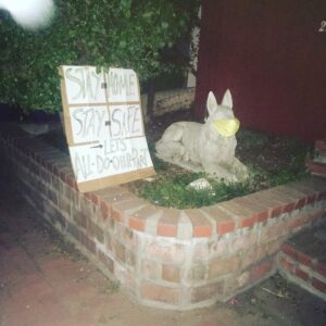 Fairuza Balk Instagram - Happy Full Moon !!! I went for a wee walk  tonight. The air is thick with the scent of night blooming flowers. .... and the night is full on the beauty that comes out as we sleep.