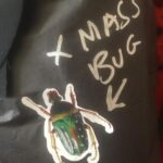 Fairuza Balk Instagram – Xmas bug decorations for the last few bundles . Why shouldn’t giant freaky beetles celebrate the Yuletide season!?