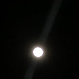 Fairuza Balk Instagram - I caught this beautiful lunar phenomenon on the night of the full moon. A beam if light appeared out of nowhere so clearly it was as bright as a spotlight yet it emanated from the sky not the Earth. I’ve no idea what is could be and it only lasted seconds but I caught it! Had to share it with you ;)
#fullmoonmagic  #fullmooningemini2019