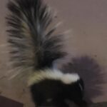 Fairuza Balk Instagram – Love this photo of Lil’ squeaks visiting my porch.