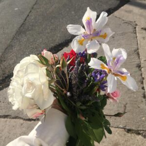Fairuza Balk Instagram - Lovely fleurs I chored from the walkabout and my own garden  tra-la. Tried to post them earlier but I guess they didn’t take.