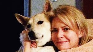 Faith Ford Instagram - Our Beautiful Belle crossed the rainbow bridge this past weekend. She lived a fabulous & full 17 years! She never knew anything but love, good food & joy. Yes, she was Queen and she was always protective, loving & loyal to all her precious people & paw pals! She’s running free with Rounder, Roxy, Bosco & Tess now. Run my sweet baby girl, run…♥️🐾🌈