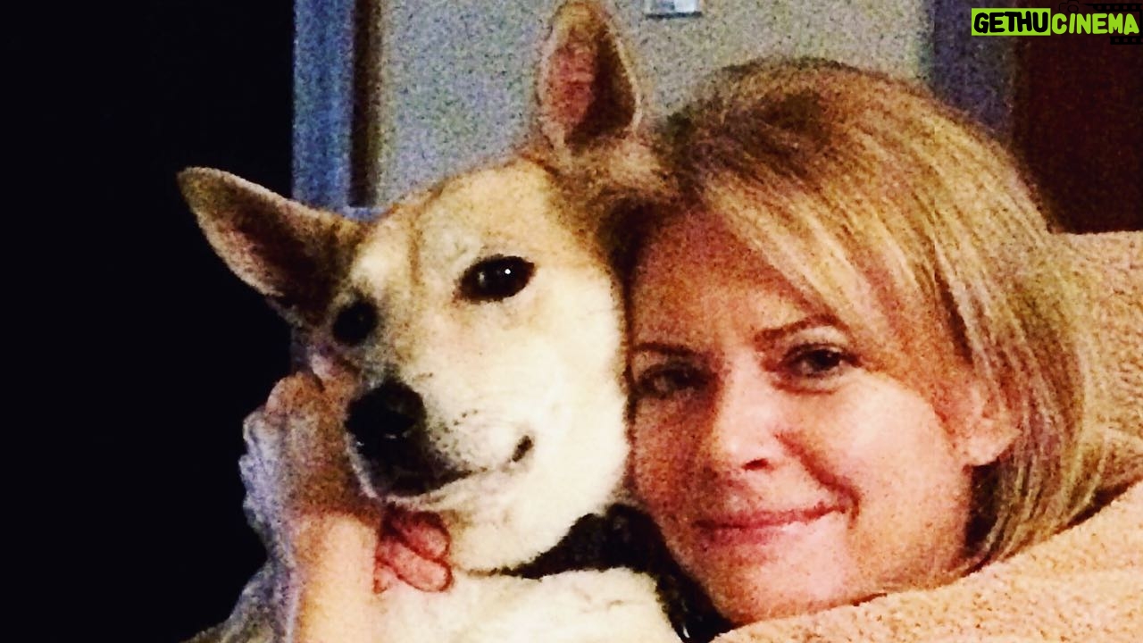 Faith Ford - 1.3K Likes - Our Beautiful Belle crossed the rainbow bridge this past weekend. She lived a fabulous & full 17 years! She never knew anything but love, good food & joy. Yes, she was Queen and she was always protective, loving & loyal to all her precious people & paw pals! She’s running free with Rounder, Roxy, Bosco & Tess now. Run my sweet baby girl, run…♥️🐾🌈