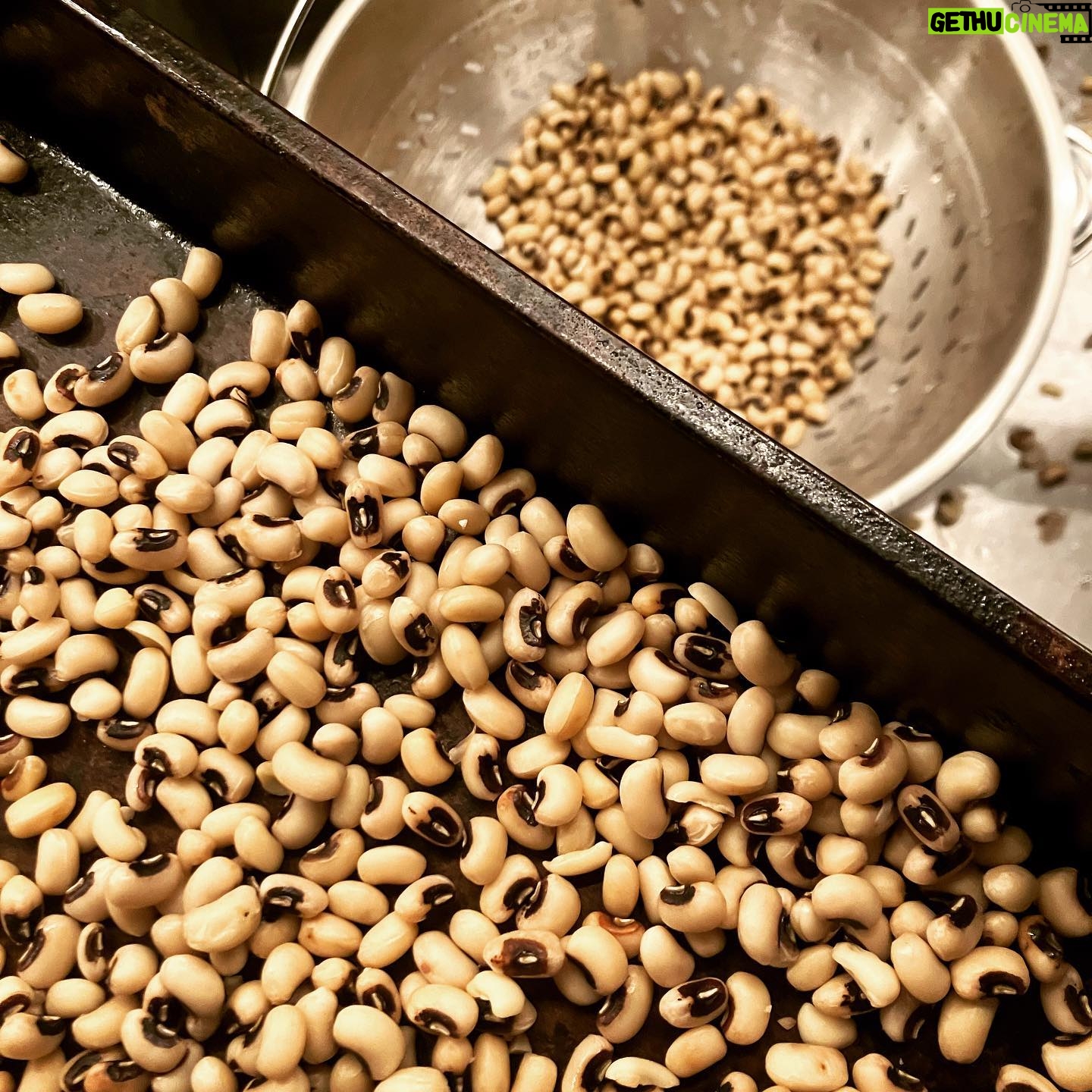 Faith Ford - 1.4K Likes - Happy New Year good luck meal done! Fresh black eye peas, cabbage, sweet potatoes & cornbread (by Mama Pat)🙌🏼 Slide left. Pic. 2 is the searching & cleaning process. Pic. 3 is showing the brand, Melissa’s. 🙌🏼Thanks for sharing the new black eyed pea recipe @thepatrickgoudeau #soyum 😋 #newyearsday2023 #southerntradition #goodhealth #prosperity @campionmurphy approved!💯♥️🥰