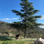 Faith Schroder Instagram – Nothing like the peace I feel in nature