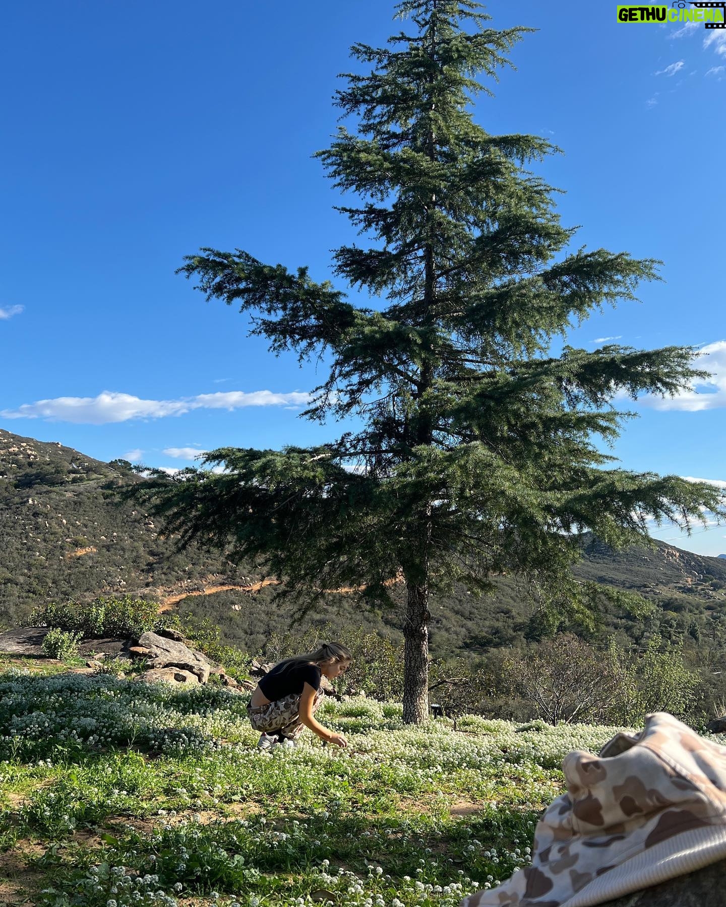 Faith Schroder Instagram - Nothing like the peace I feel in nature