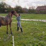 Fajah Lourens Instagram - Een ochtend op de boerderij. Deze dieren maken mn leven zo compleet. Ook al sta ik poep te scheppen in de regen of maken de honden alles vies de liefde die ik van ze ontvang is onvoorwaardelijk en mijn liefde voor hen ook. I am blessed ♥️ #fajahsfarm