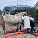 Fajah Lourens Instagram - Geen woorden maar paarden... wat een dankbare sessies vandaag. Wil je ook een keer deelnemen? 20 april is de volgende. Paarden coaching, ijsbad en adem werk met @ruudvdwiel meer info updates@iam-present.nl