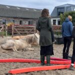 Fajah Lourens Instagram - Geen woorden maar paarden... wat een dankbare sessies vandaag. Wil je ook een keer deelnemen? 20 april is de volgende. Paarden coaching, ijsbad en adem werk met @ruudvdwiel meer info updates@iam-present.nl