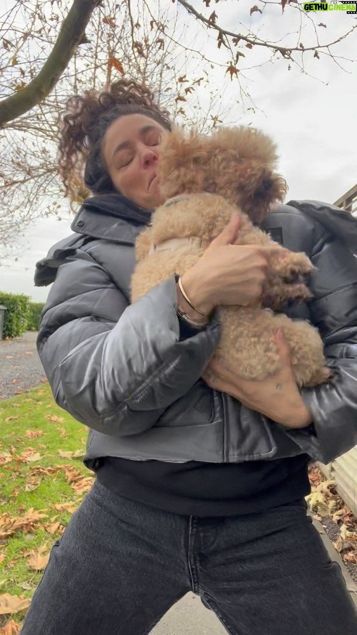 Fajah Lourens Instagram - AlI need is my animals ♥️ Ik heb dit heerlijke nieuwe tuigje gescoord bij @zooplus.nl en heb speciaal voor jullie dieren vrienden een leuke korting met met de code : FAJAH10 op alle volgende merken Nomad Tales, Tiaki, Modern Living & Wolf of Wilderness